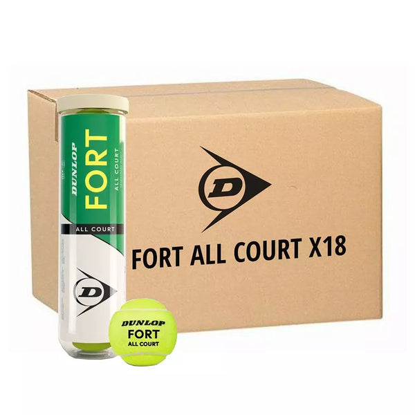 BALLES DUNLOP FORT ALL COURT (4 BALLES)