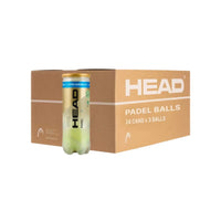 HEAD Padel Pro S+ Balles de Padel (Tube de 3)